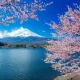 Jepang: Dari Keindahan Alam hingga Kemajuan Teknologi