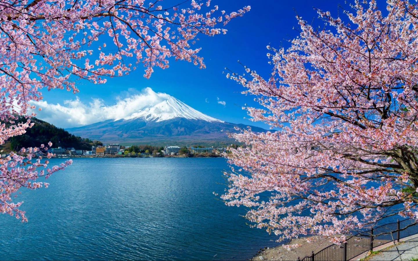 Jepang: Dari Keindahan Alam hingga Kemajuan Teknologi