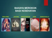 Kanker: Ancaman Serius yang Mengintai, Bahaya Merokok, dan Gejala Brain Fog
