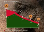 Krisis Konservasi Gajah dan Kesejahteraan Masyarakat: Dua Topik yang Terkait