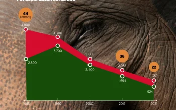 Krisis Konservasi Gajah dan Kesejahteraan Masyarakat: Dua Topik yang Terkait
