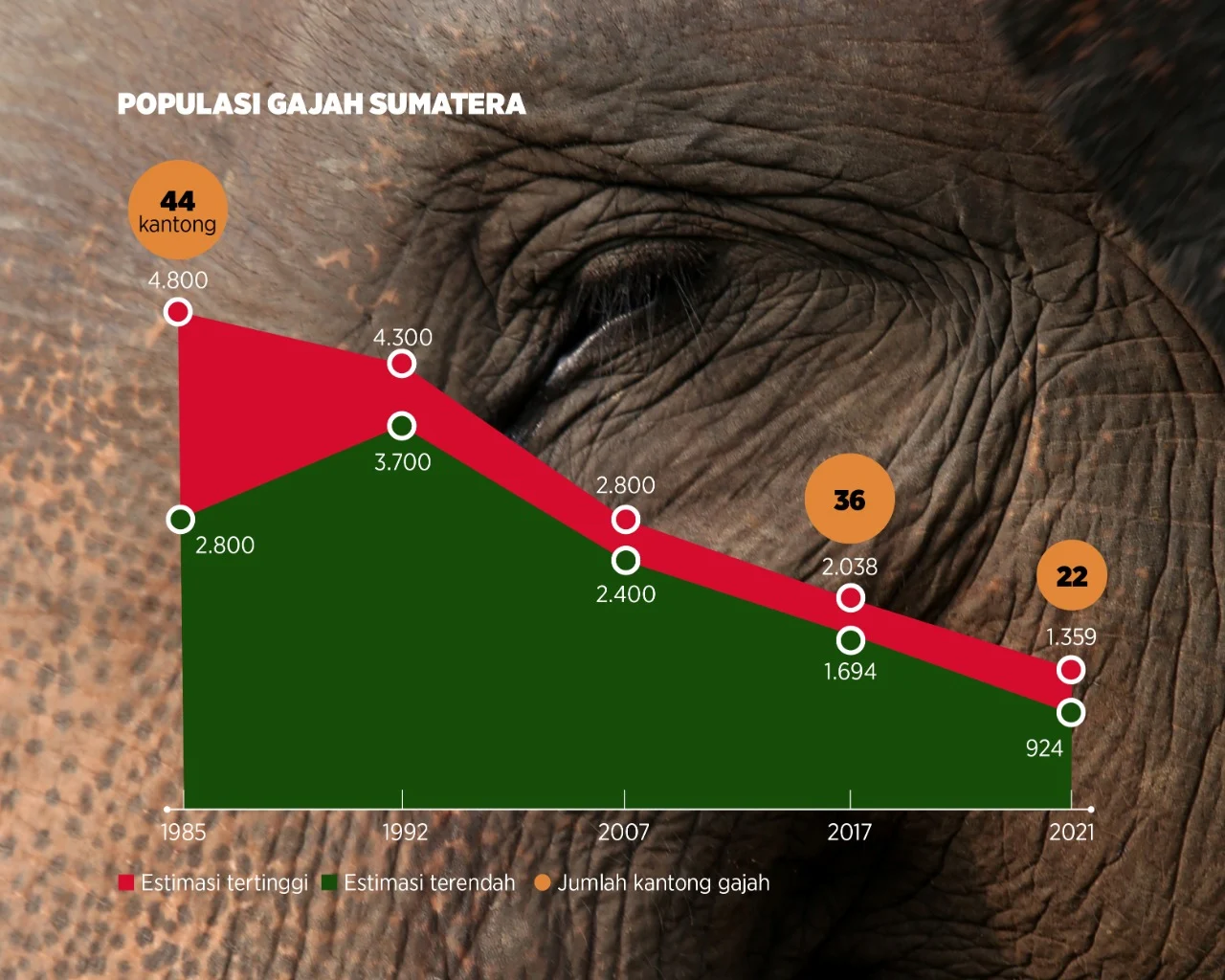 Krisis Konservasi Gajah dan Kesejahteraan Masyarakat: Dua Topik yang Terkait
