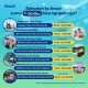 Liburan Sekolah di Ancol, Berbagai Acara Menarik dan Gratis Tiket Masuk