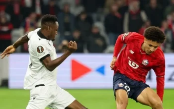 Lille Jadi Sorotan: Dari Kasur Mewah Hingga Pemain Sepak Bola Bintang