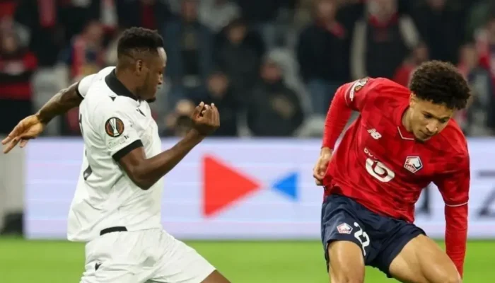 Lille Jadi Sorotan: Dari Kasur Mewah Hingga Pemain Sepak Bola Bintang