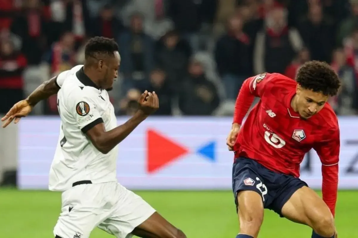 Lille Jadi Sorotan: Dari Kasur Mewah Hingga Pemain Sepak Bola Bintang