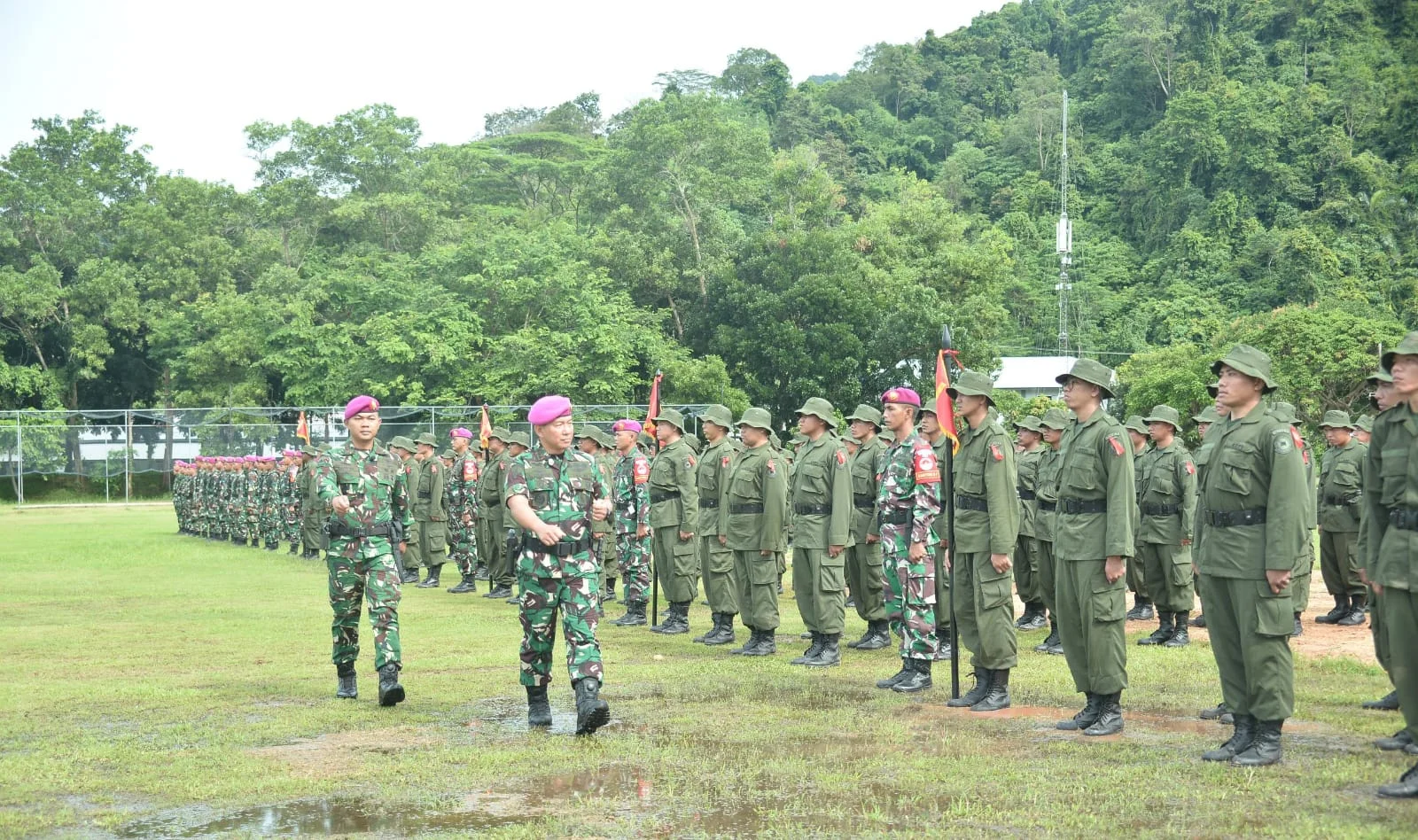 Lima Peserta Program Sarjana Penggerak Pembangunan Indonesia Meninggal Dunia Selama Latihan Dasar Militer