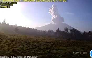 Maluku Utara Diguncang Berbagai Peristiwa, dari Erupsi Gunung hingga Kematian Ular Piton