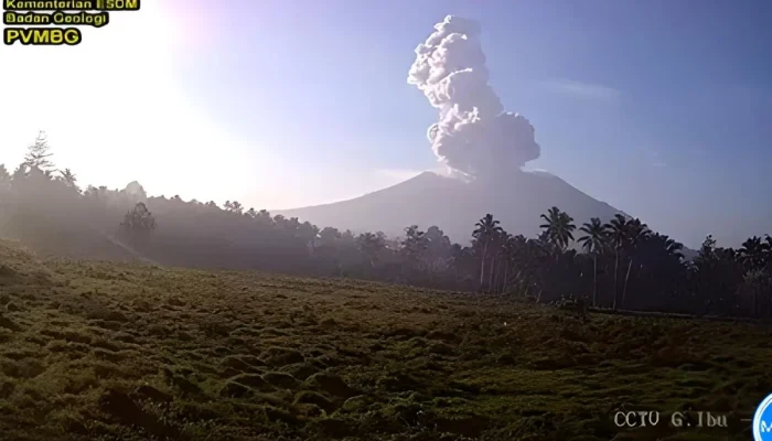 Maluku Utara Diguncang Berbagai Peristiwa, dari Erupsi Gunung hingga Kematian Ular Piton