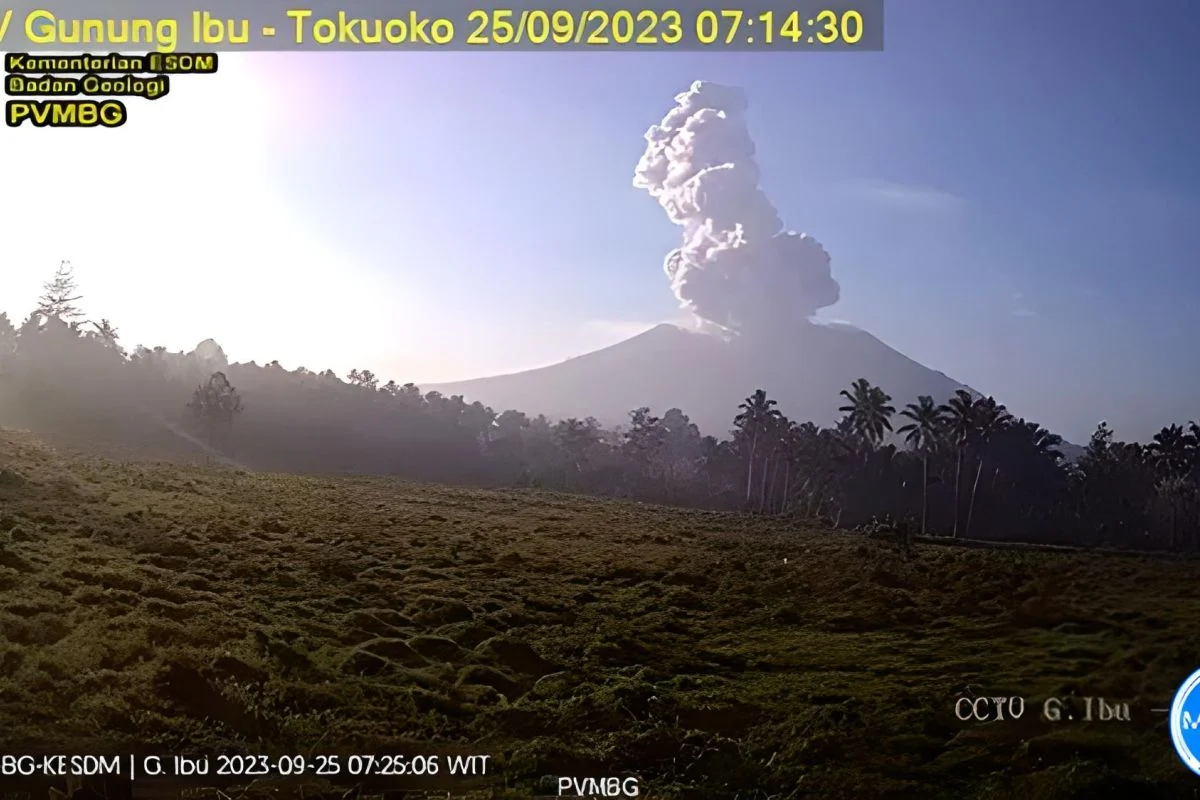 Maluku Utara Diguncang Berbagai Peristiwa, dari Erupsi Gunung hingga Kematian Ular Piton