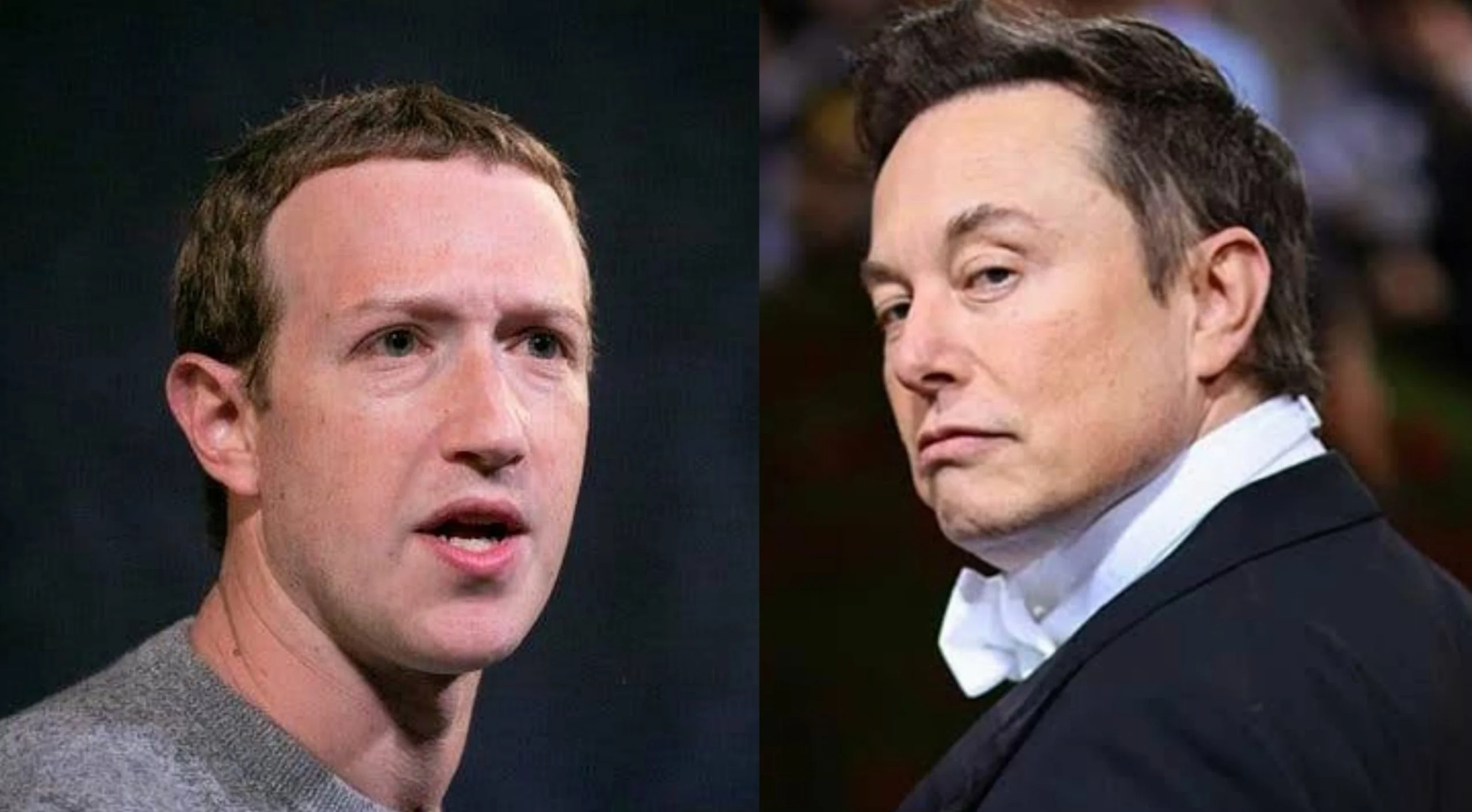 Mark Zuckerberg dan Elon Musk: Dua Tokoh Paling Berpengaruh di Dunia yang Hampir Berkelahi di UFC