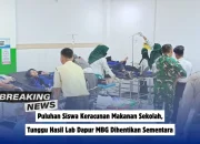MBG Dihentikan Sementara: Apa yang Terjadi dan Bagaimana Dampaknya?
