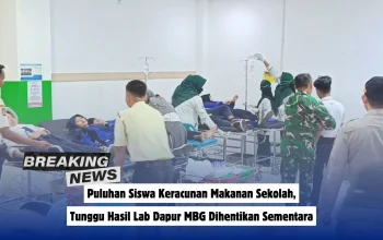 MBG Dihentikan Sementara: Apa yang Terjadi dan Bagaimana Dampaknya?