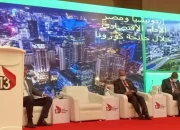 Mesir Dorong Kerjasama Ekonomi Afrika-Korea Selatan dan Mengumumkan Penemuan Arkeologi Besar
