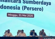 Pasar Modal Indonesia Dapat Dampak Positif dari Pembentukan PT DSI