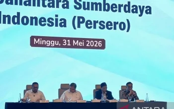 Pasar Modal Indonesia Dapat Dampak Positif dari Pembentukan PT DSI