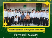 Pegawai Pemerintah dengan Perjanjian Kerja (PPPK): Tantangan dan Solusi