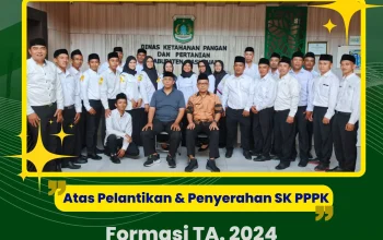 Pegawai Pemerintah dengan Perjanjian Kerja (PPPK): Tantangan dan Solusi