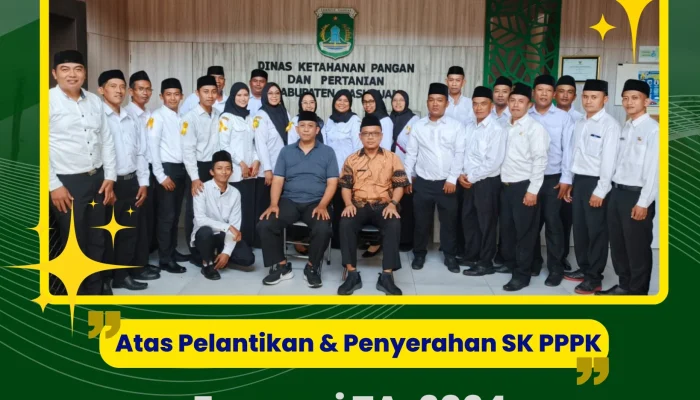 Pegawai Pemerintah dengan Perjanjian Kerja (PPPK): Tantangan dan Solusi