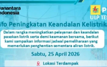 Pemadaman Listrik Bergilir di Indonesia: PLN dan Pemerintah Didesak untuk Bertanggung Jawab