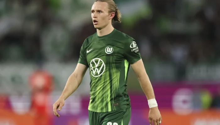 Pemain ÖFB Patrick Wimmer Pindah ke TSG Hoffenheim