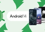 Pembaruan Android 14: Apa yang Perlu Diketahui Pengguna
