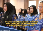Pemerintah Buka Peluang Baru untuk Non-ASN dan Honorer di Sektor Kesehatan