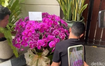 Prabowo Ucapkan Selamat Ulang Tahun ke-65 untuk Jokowi dengan Mengirim Bunga Anggrek