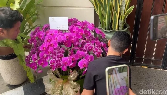 Prabowo Ucapkan Selamat Ulang Tahun ke-65 untuk Jokowi dengan Mengirim Bunga Anggrek