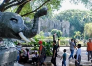 Ragunan, Destinasi Wisata Edukasi Keluarga Ramah di Kantong