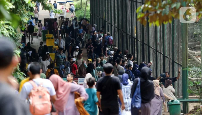 Ragunan Siapkan 27 Titik Parkir Antisipasi Lonjakan Pengunjung saat Libur Idul Adha