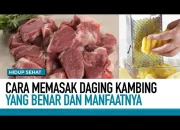 Rahasia Mengolah Daging Kambing yang Lezat dan Sehat