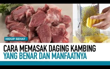 Rahasia Mengolah Daging Kambing yang Lezat dan Sehat