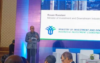Rosan Roeslani dan Strategi Investasi Indonesia untuk Meningkatkan Ekonomi