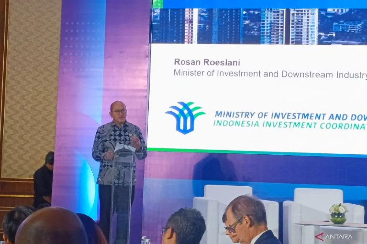 Rosan Roeslani dan Strategi Investasi Indonesia untuk Meningkatkan Ekonomi