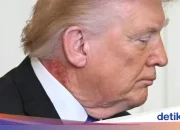 Trump Dalam Sorotan: Dari Pendidikan hingga UFC, Apa yang Sedang Terjadi?