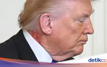 Trump Dalam Sorotan: Dari Pendidikan hingga UFC, Apa yang Sedang Terjadi?