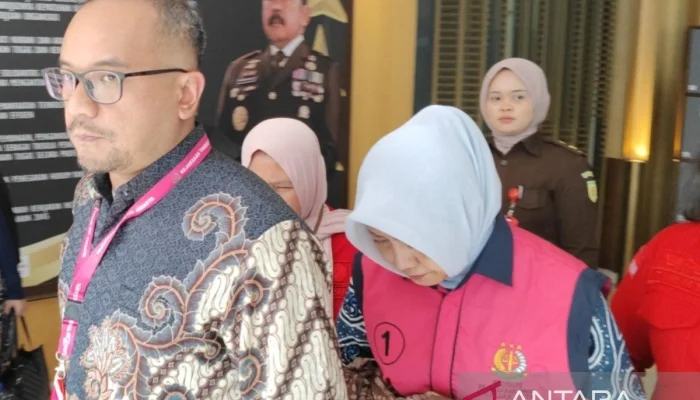 Babysitter: Antara Kasus Kriminal dan Pilihan Orang Tua