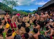 BBC iPlayer Hadirkan Berbagai Konten Menarik, dari Drama Perang hingga Acara Memasak