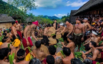BBC iPlayer Hadirkan Berbagai Konten Menarik, dari Drama Perang hingga Acara Memasak