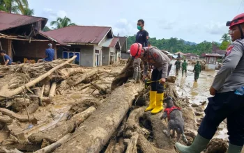 Berita Terkini: Bencana Alam, Politik, dan Olahraga