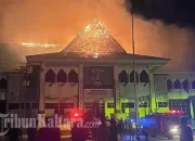 Berita Viral: Cafe Tutup, Aksi Ngawur di Tol, FUR Konser, dan Kebakaran Kantor Pemkot
