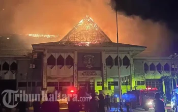 Berita Viral: Cafe Tutup, Aksi Ngawur di Tol, FUR Konser, dan Kebakaran Kantor Pemkot