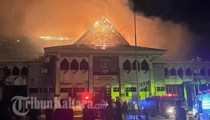 Berita Viral: Cafe Tutup, Aksi Ngawur di Tol, FUR Konser, dan Kebakaran Kantor Pemkot