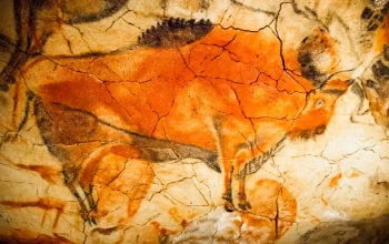 Bison: Simbol Kemerdekaan Amerika dan Lukisan Prasejarah di Gua Altamira