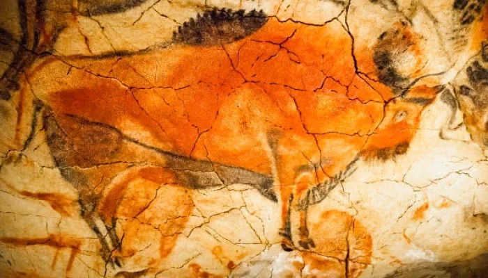 Bison: Simbol Kemerdekaan Amerika dan Lukisan Prasejarah di Gua Altamira