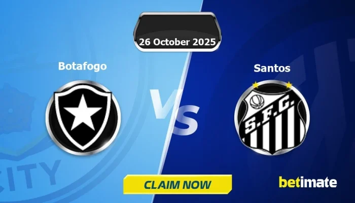 Botafogo vs Santos: Kemenangan Emotif dan Prediksi Masa Depan