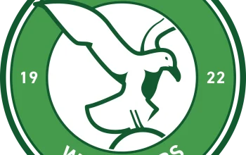 Bray Wanderers Mengumumkan Appoinment Baru Sebagai Academy Director