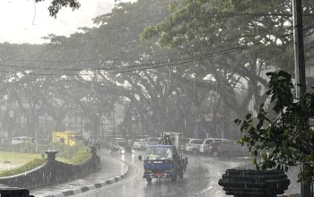 Cuaca Jawa Timur Hari Ini: Hujan Ringan di Sumenep dan Kota Batu, Suhu Malang Mencapai 14°C