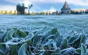 Fenomena Embun Upas di Dieng: Antara Keindahan dan Kerugian
